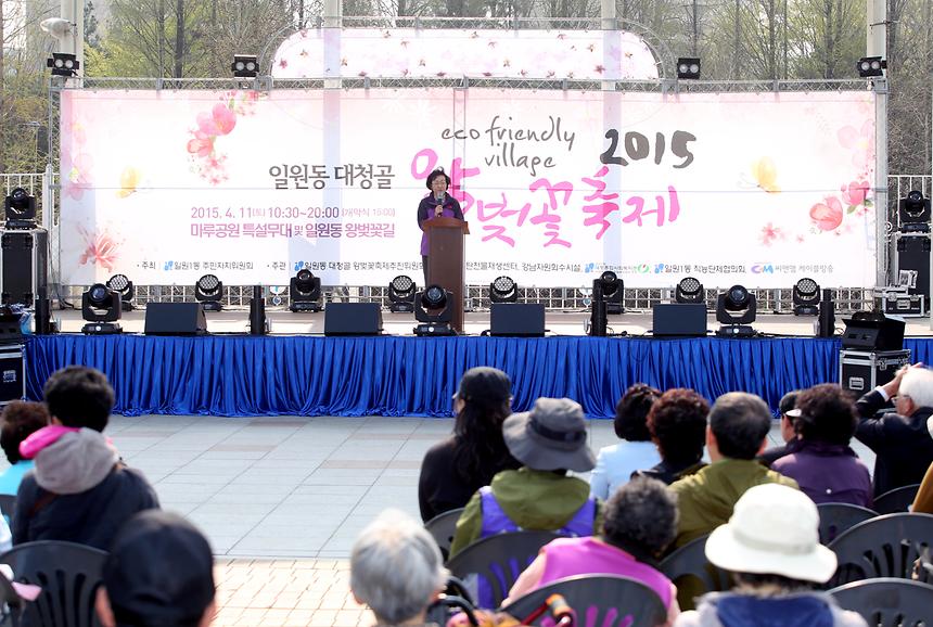 강남구 왕벚꽃 축제 - 3
