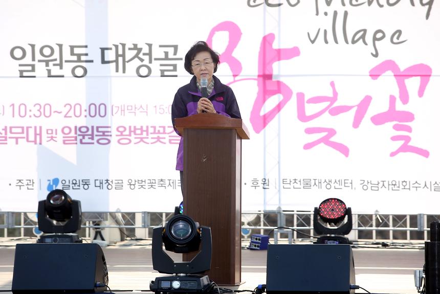 강남구 왕벚꽃 축제 - 2