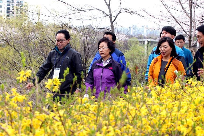 양재천 걷기운동 - 6