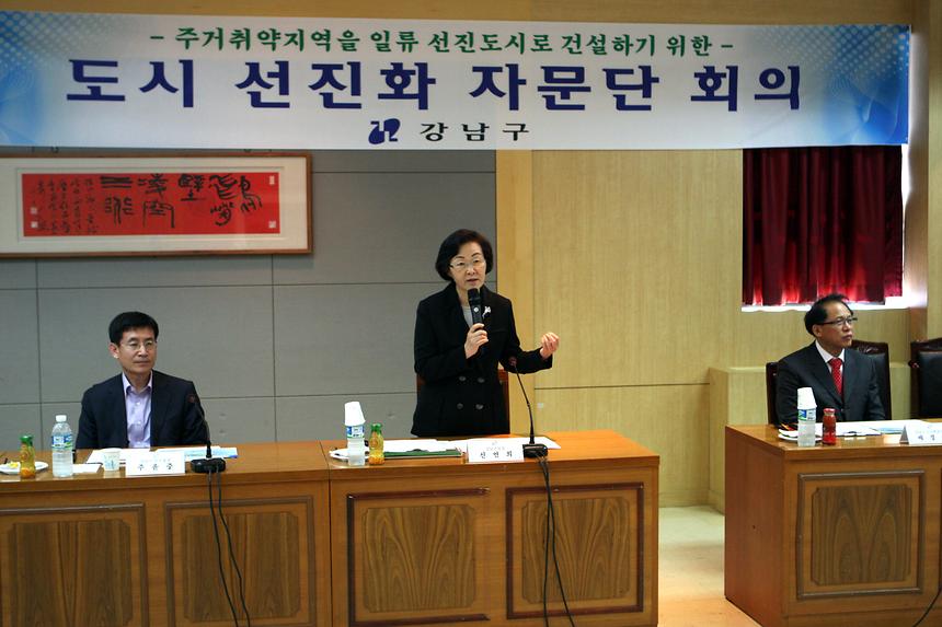 도시선진화자문단 회의 - 1