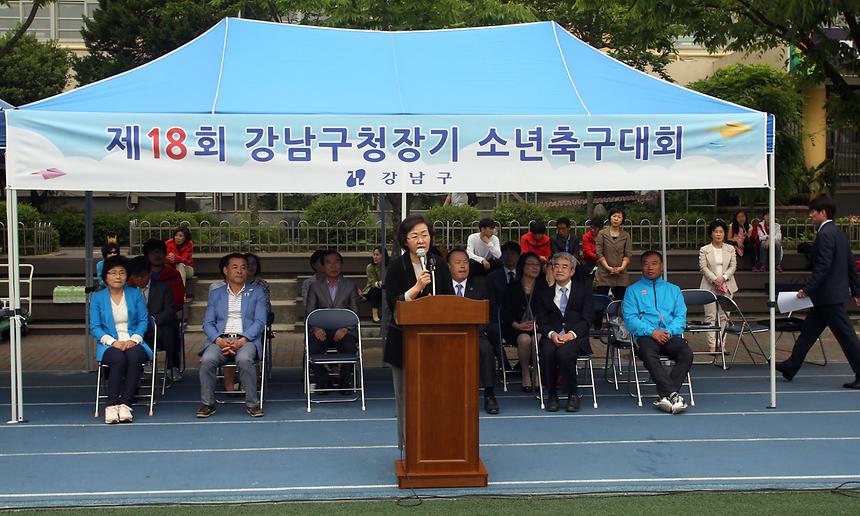 제18회 강남구청장기 소년축구대회 - 2