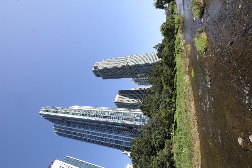 양재천, 강남구 전경 - 7