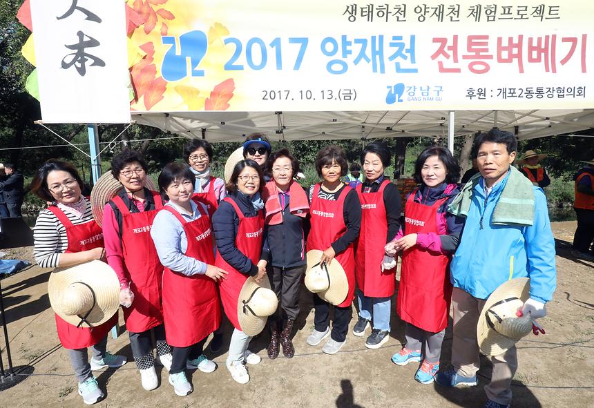 양재천 가을걷이 - 11
