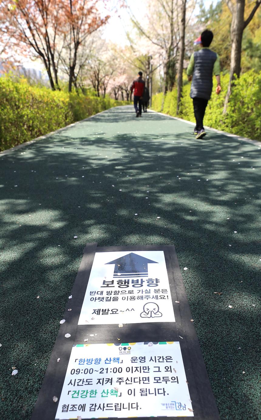 양재천 한방향 걷기 - 1