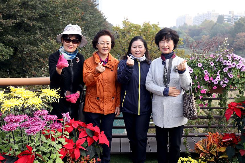 강남 7540 단풍길 걷기 - 13