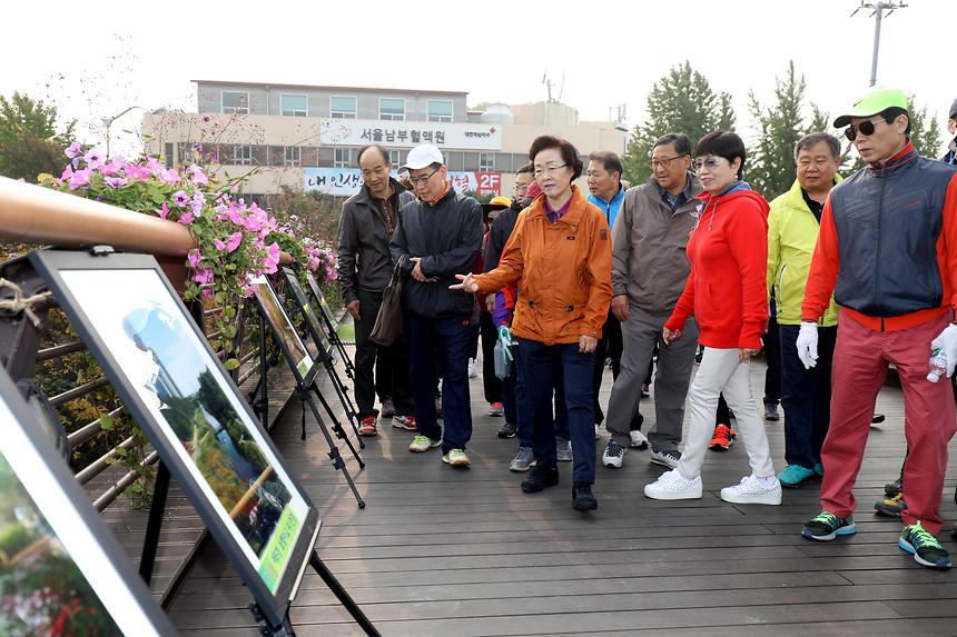 강남 7540 단풍길 걷기 - 10