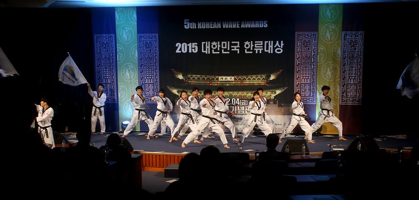 15년 대한민국 한류 대상 - 9