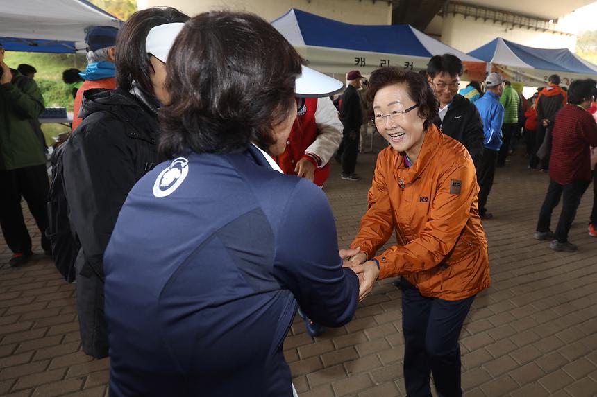 강남 7540 단풍길 걷기 - 2