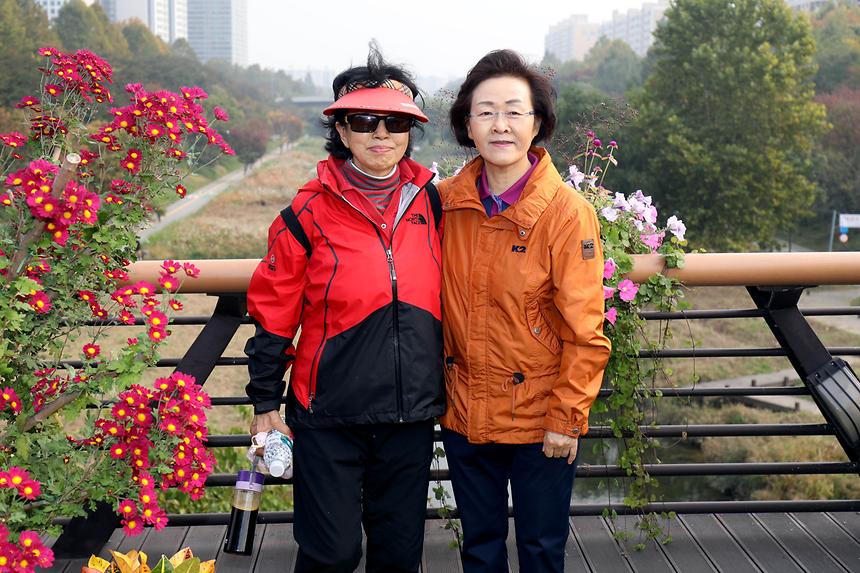 강남 7540 단풍길 걷기 - 11