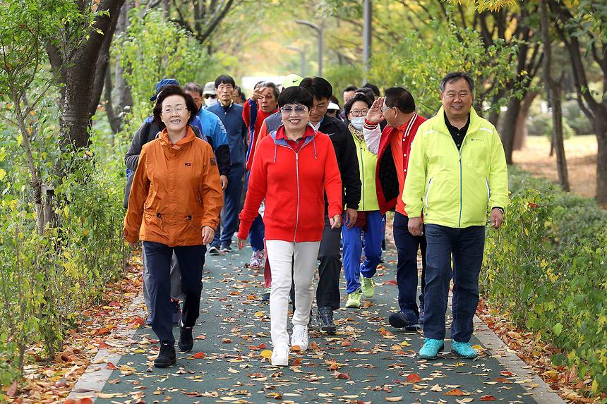 강남 7540 단풍길 걷기 - 8
