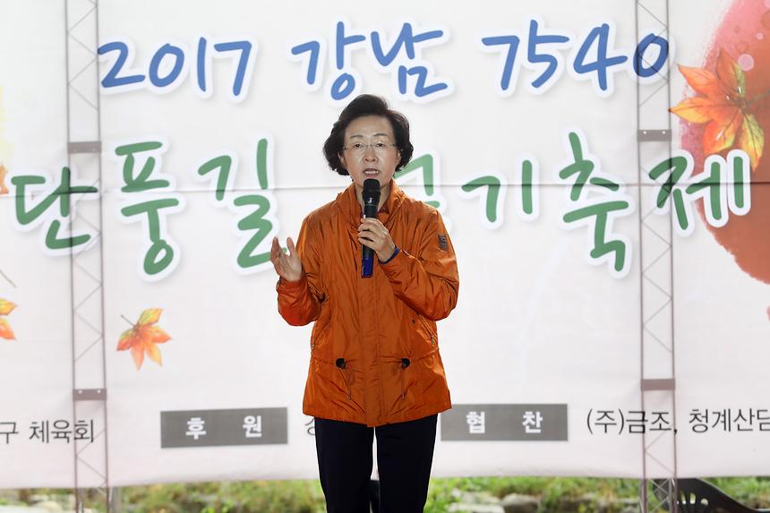 강남 7540 단풍길 걷기 - 5