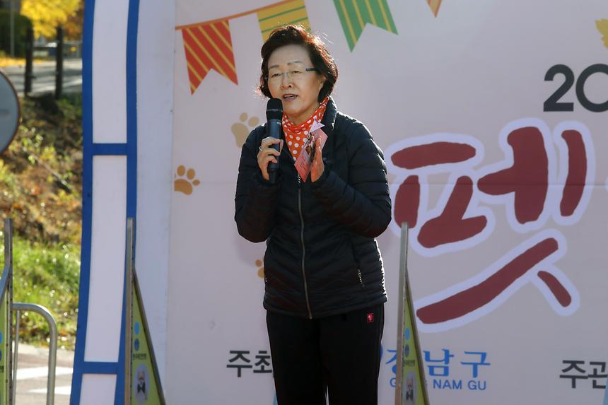 양재천 단풍축제 펫 페스티벌 - 5