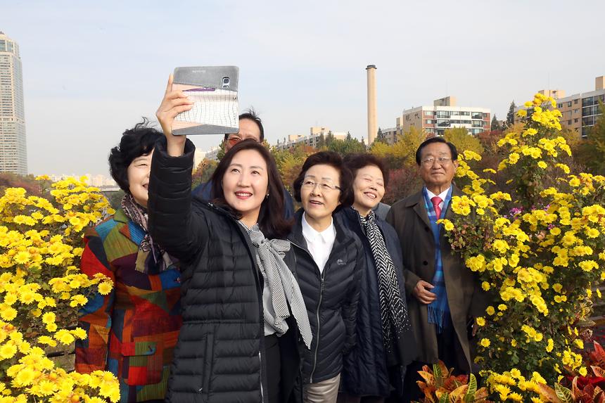 양재천 단풍축제 - 1