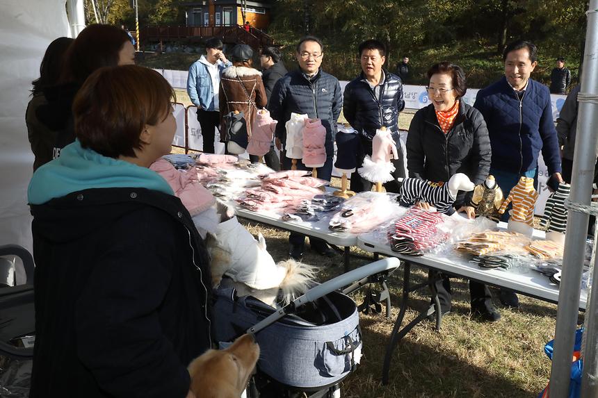 양재천 단풍축제 펫 페스티벌 - 1