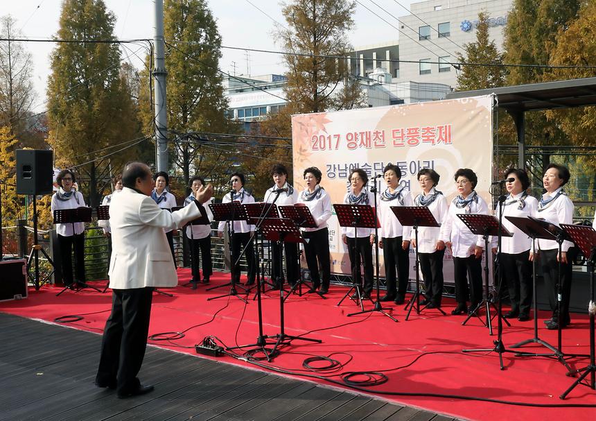 양재천 단풍축제 - 7
