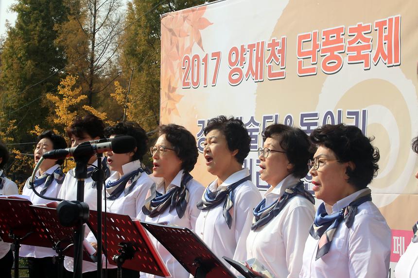 양재천 단풍축제 - 9