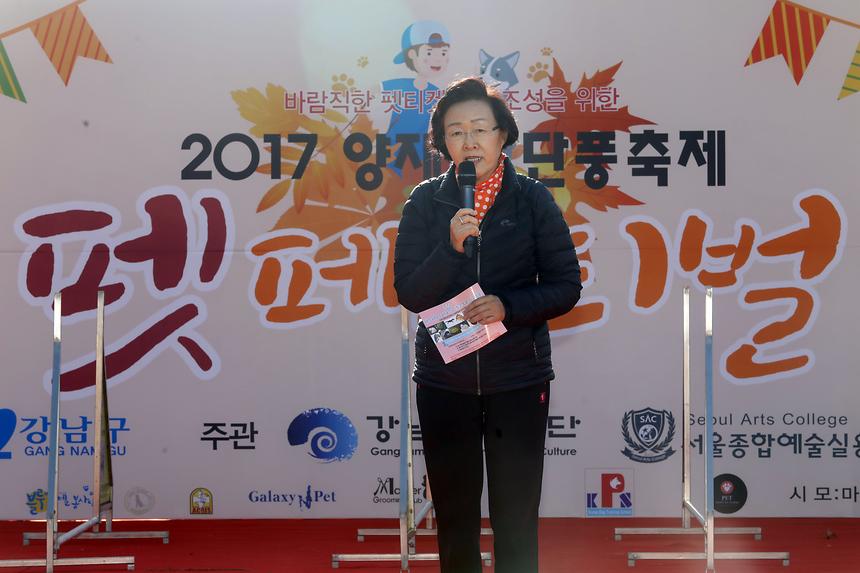 양재천 단풍축제 펫 페스티벌 - 4