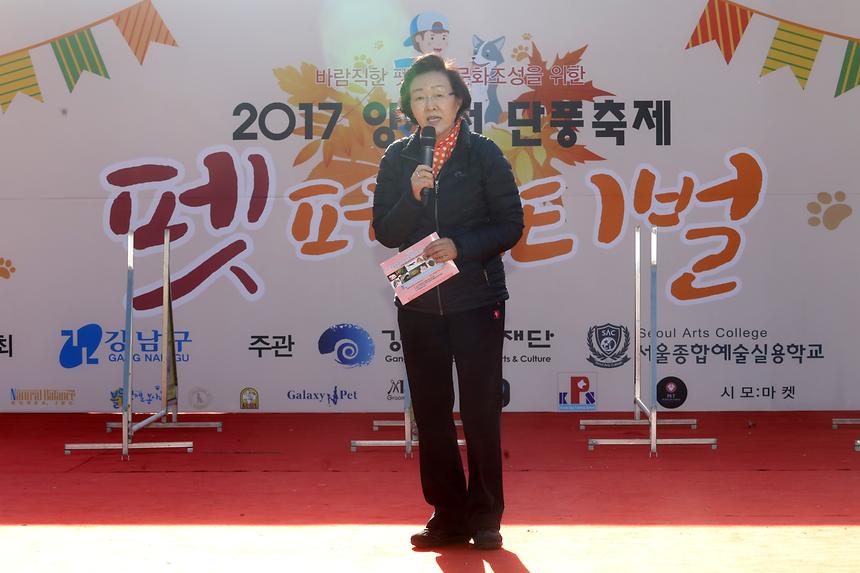 양재천 단풍축제 펫 페스티벌 - 3