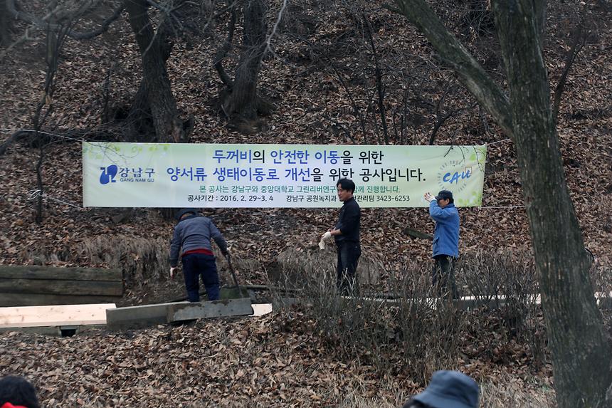양재천 두꺼비통로 - 1