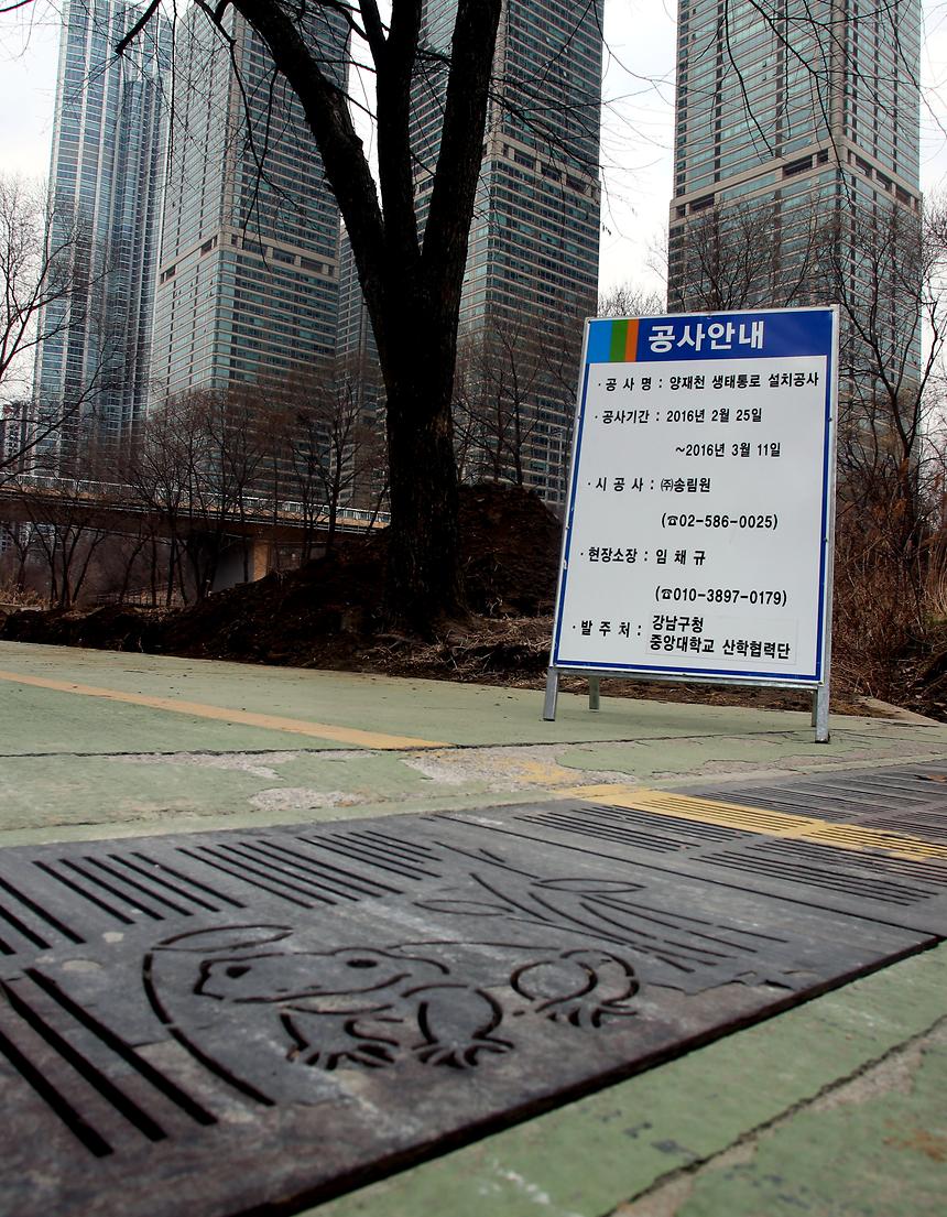 양재천 두꺼비통로 - 3