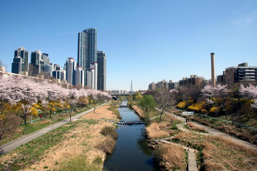 양재천 전경 - 3