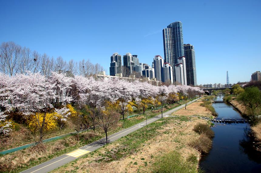 양재천 전경 - 4