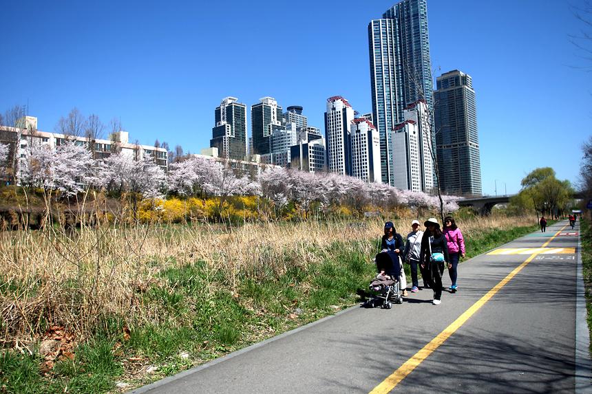 양재천 전경 - 5