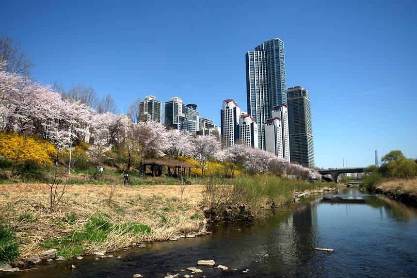 양재천 전경 - 2