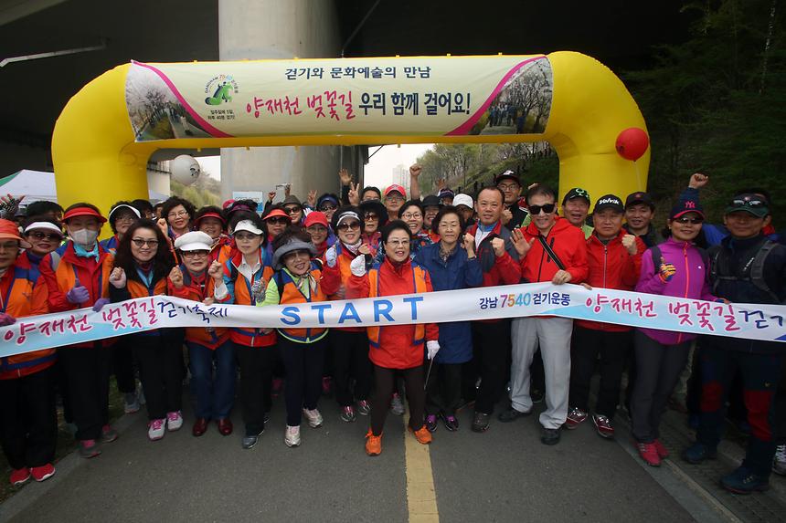 양재천 걷기 축제 - 11