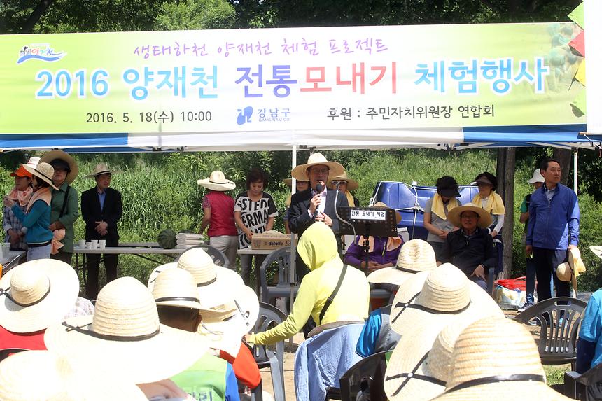 양재천 전통 모내기 체험행사 - 1