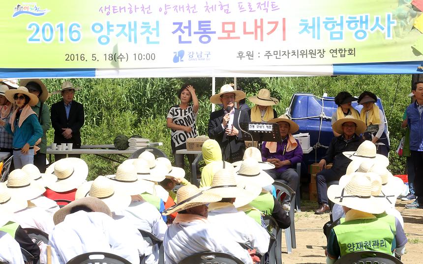 양재천 전통 모내기 체험행사 - 2