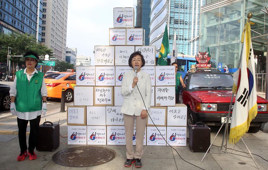 새마을 태극기 달기 캠페인 - 5