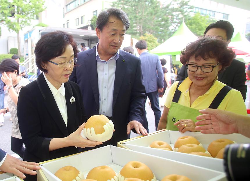강남구 직거래 장터 - 10