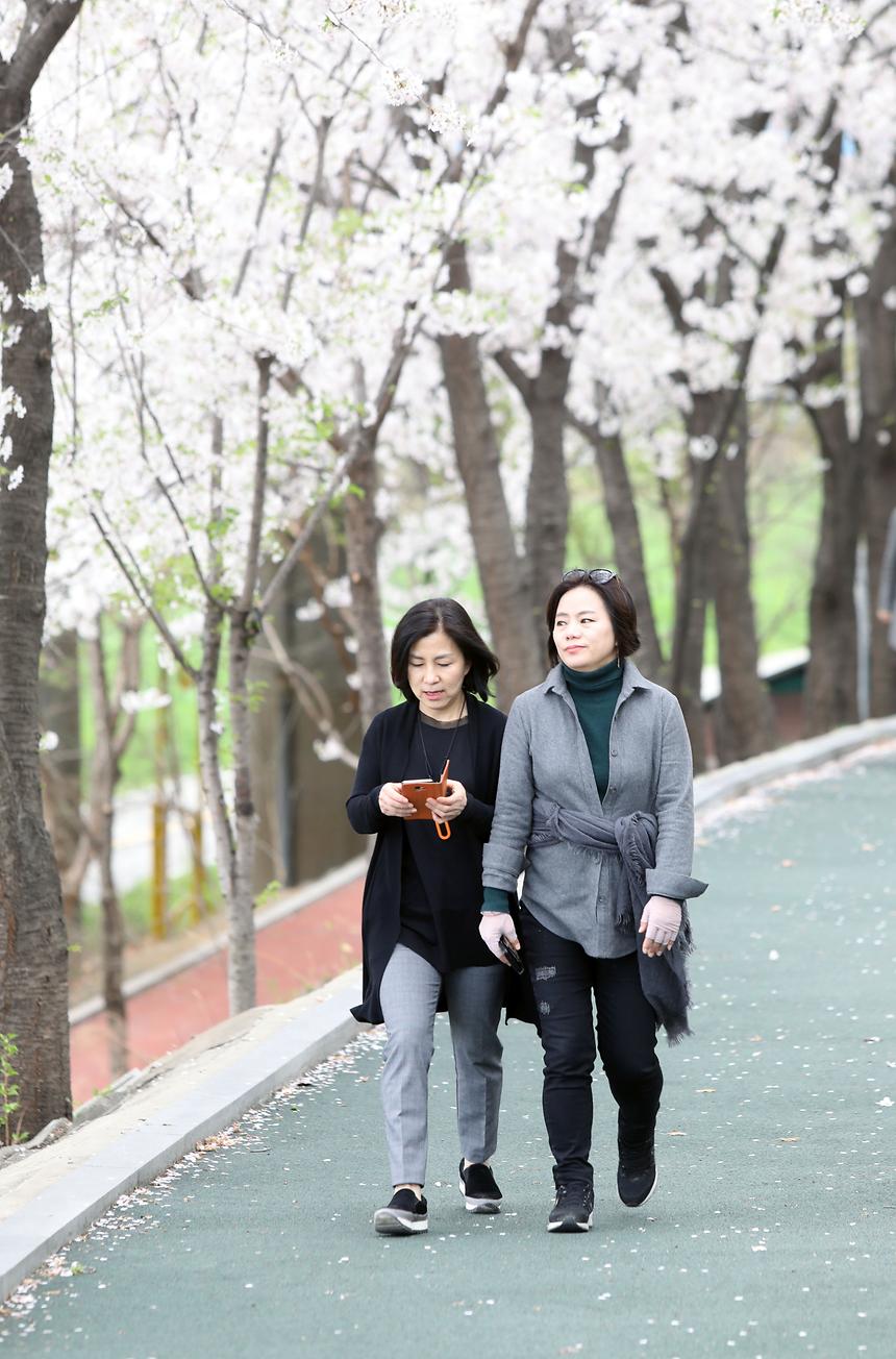 양재천 - 6