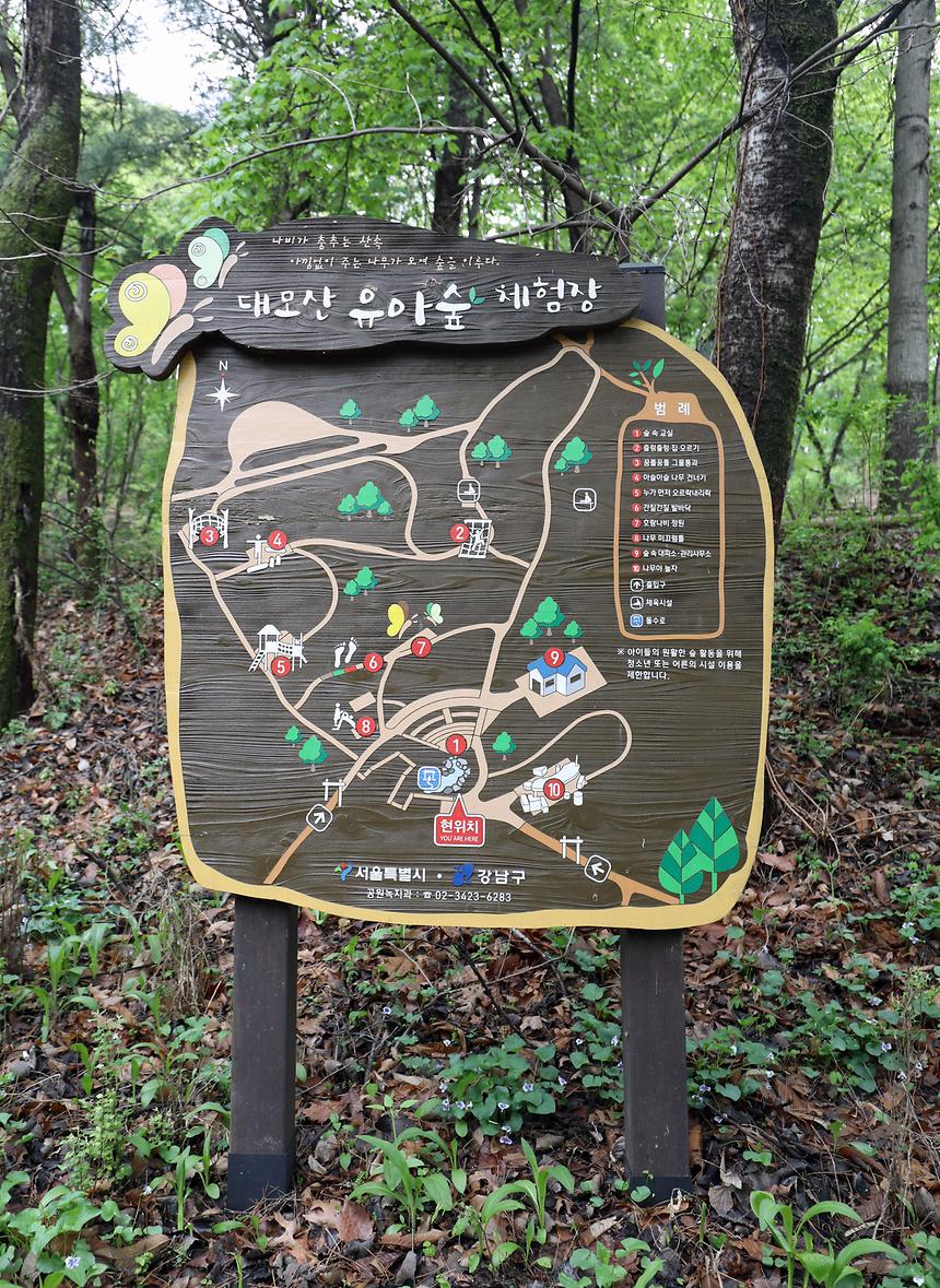 대모산 - 8