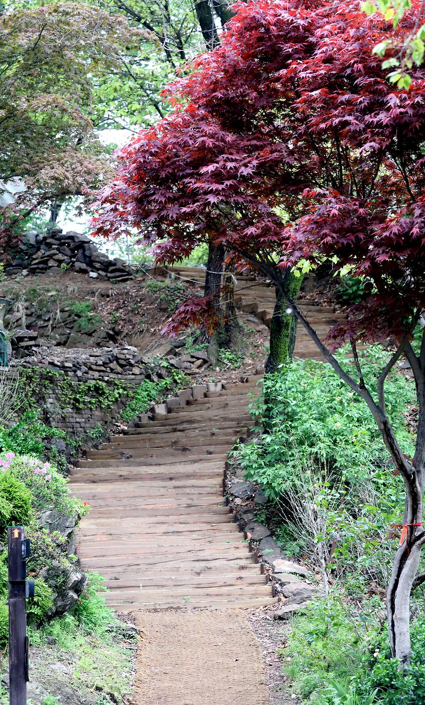 대모산 - 17