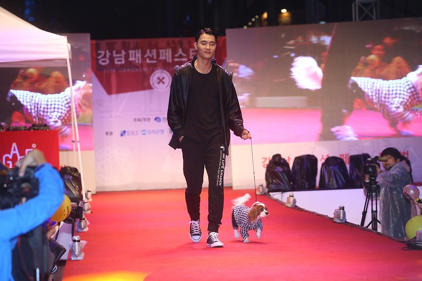 강남패션 페스티벌 반려견 - 4