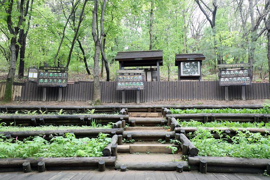 대모산 - 10