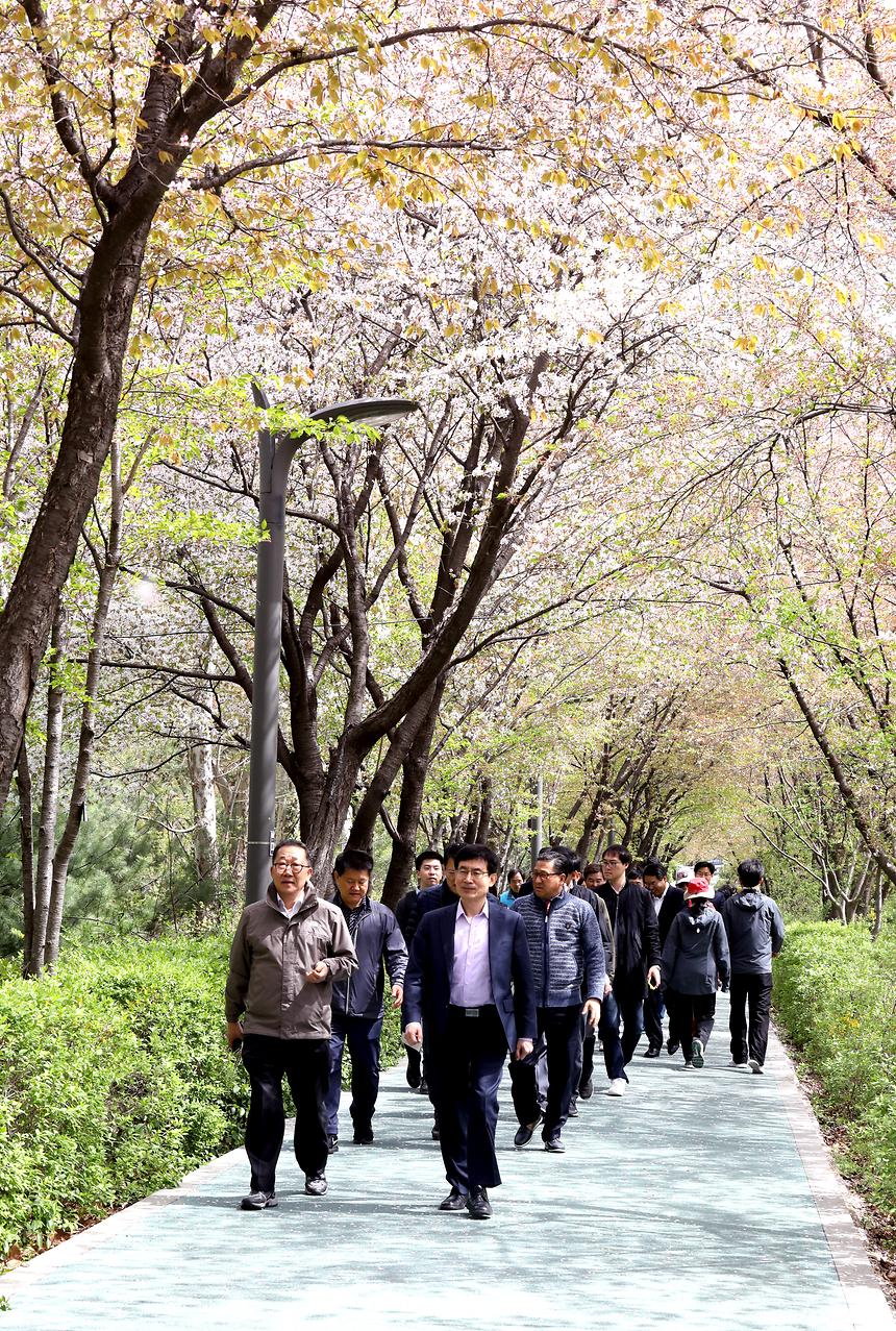 양재천 - 5