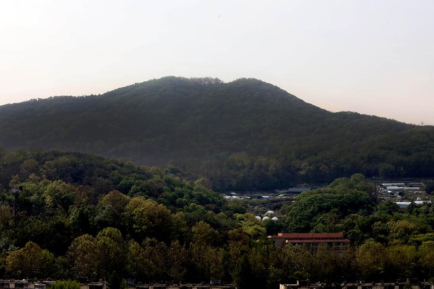 대모산 및 개포단지 - 3