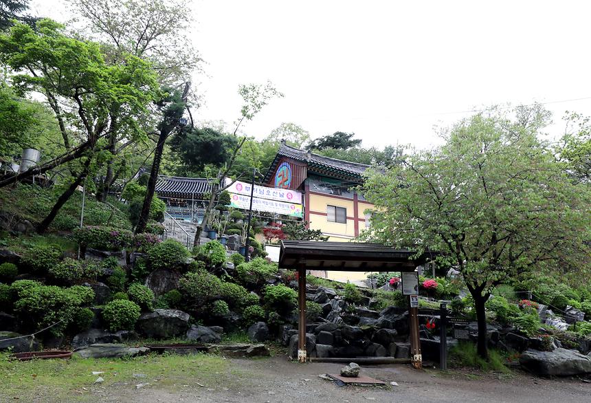 대모산 - 16