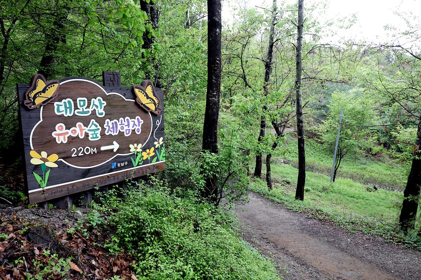 대모산 - 6