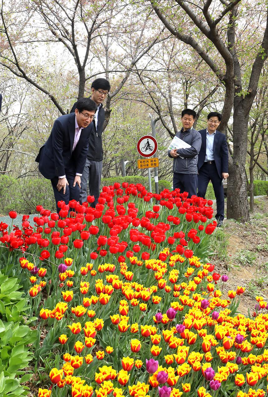 양재천 - 1