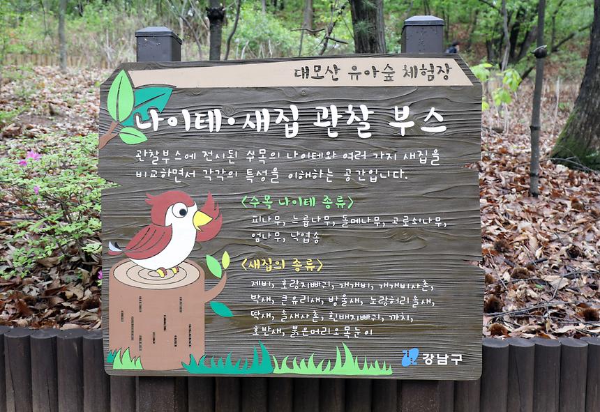 대모산 - 12