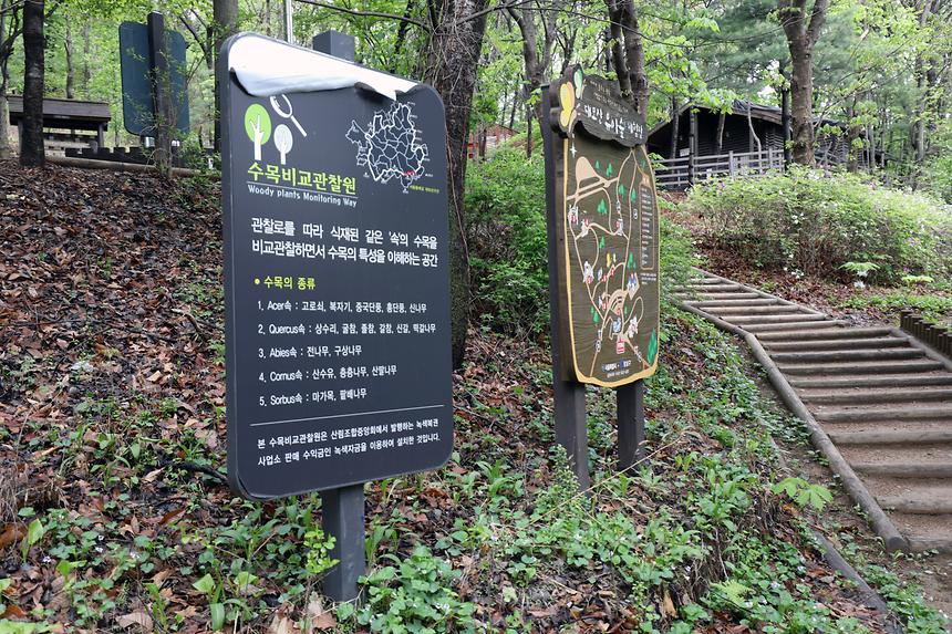 대모산 - 9