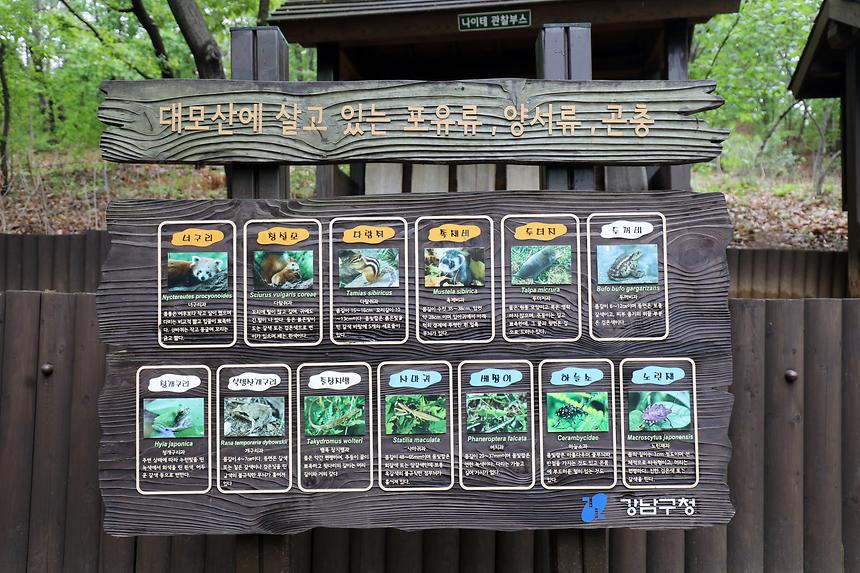 대모산 - 11