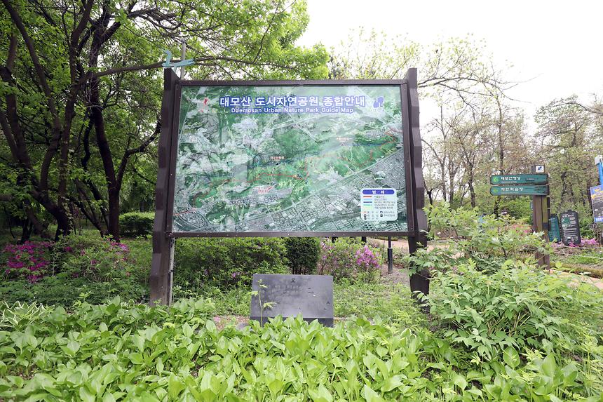 대모산 - 1
