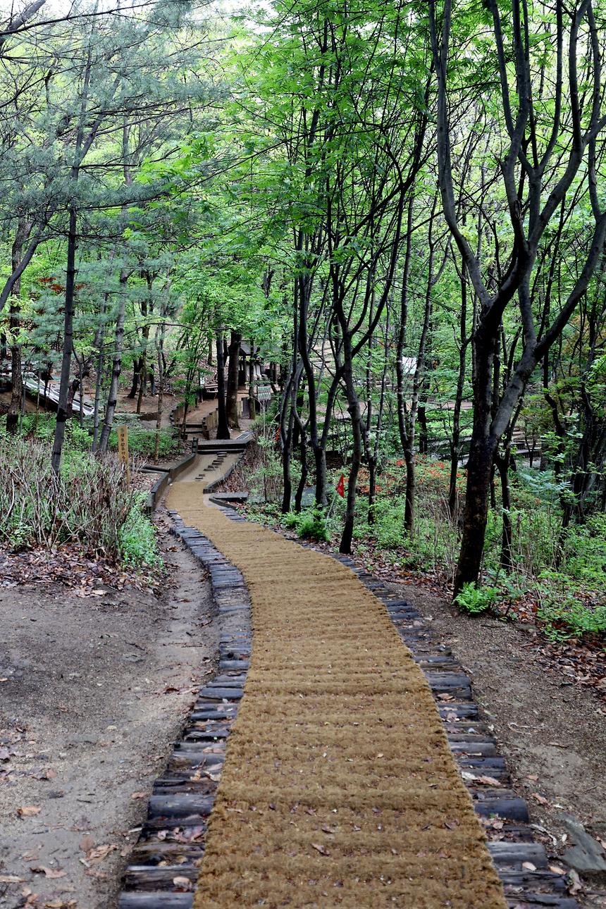 대모산 - 14