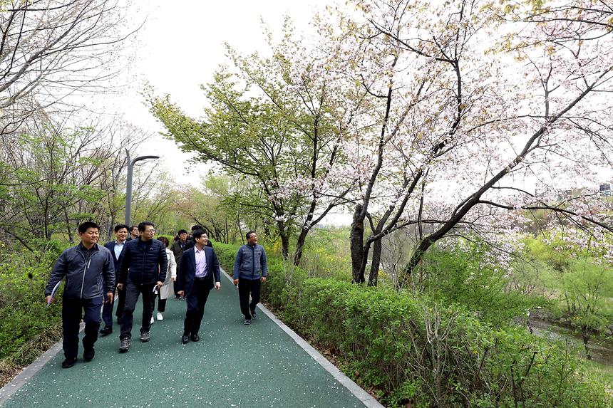 양재천 - 4