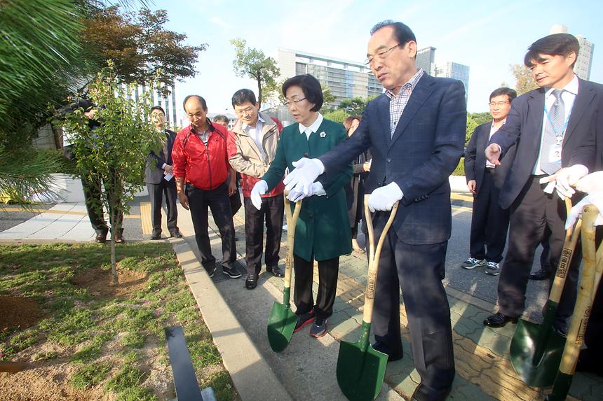 보은군 소나무 기념식수 심기 - 2